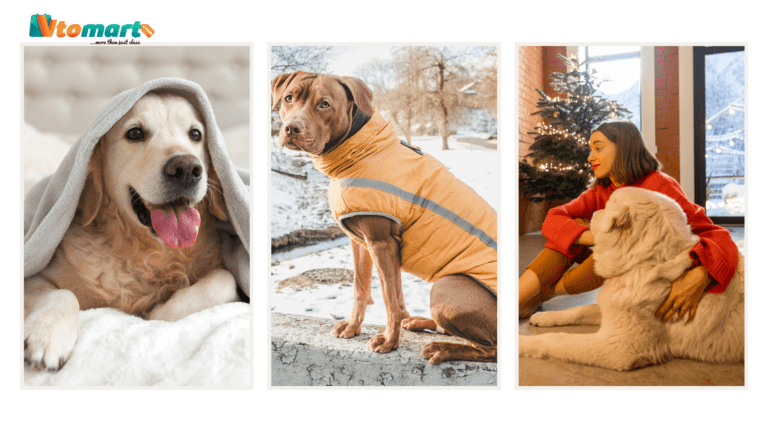 5 Tips To Keep Your Pets Warm This Winter