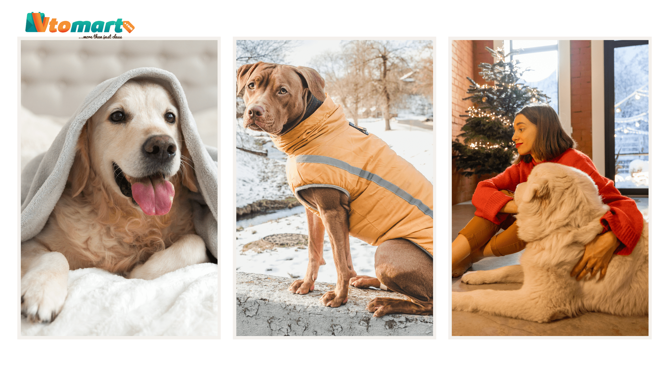 5 Tips To Keep Your Pets Warm This Winter