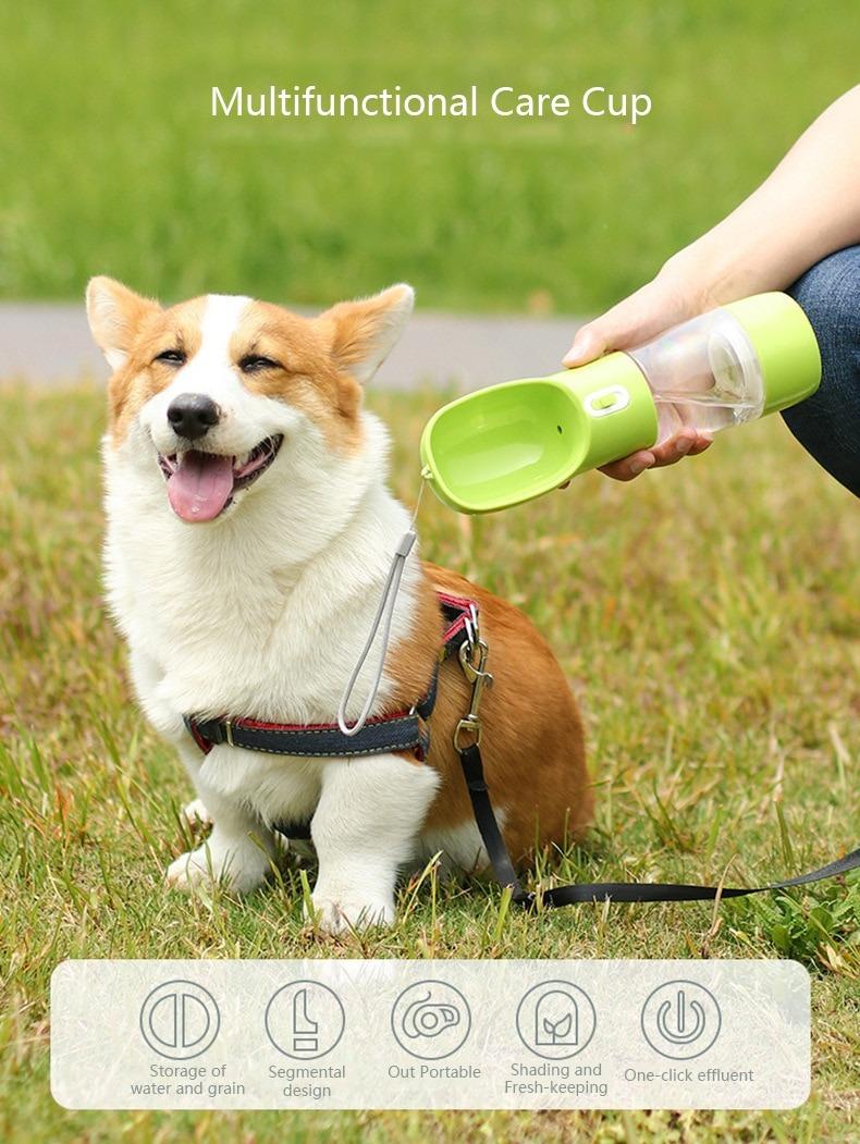 Pet portable water bottle